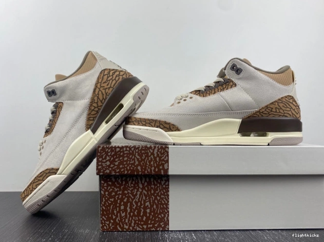 CT8532-102 3 Palomino Jordan Air 1010